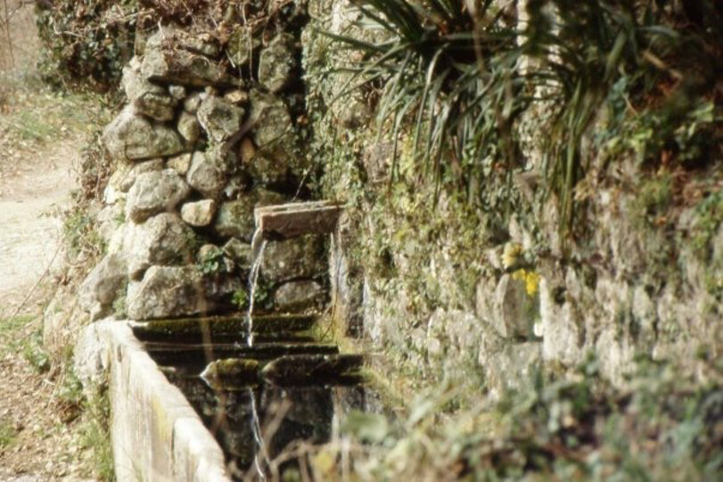 41146_4c0b9e74c4979786d049ad0d32a2bdfa29bd68a3