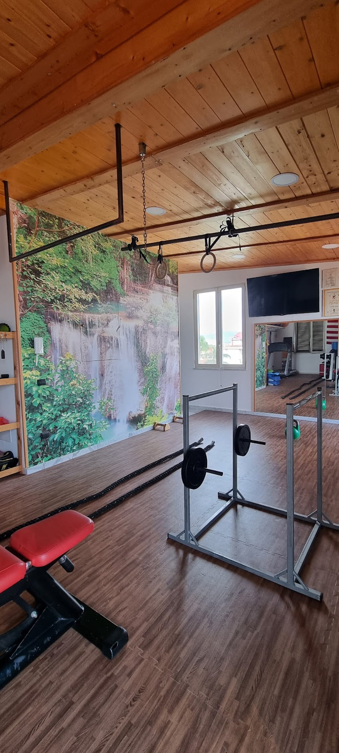 41172_0671ba7c033c9ef417a9bb52892fbe3c6e38d86e