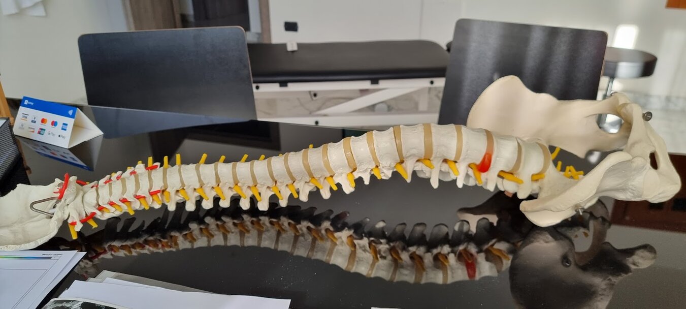 41172_9866423631e10fa8c434219ea45e0a565061810f