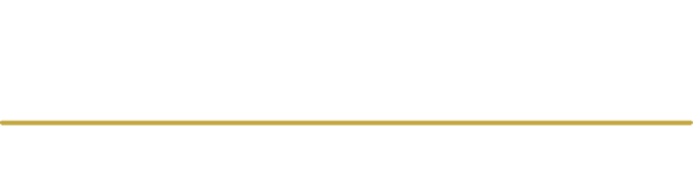 logo viaroma2