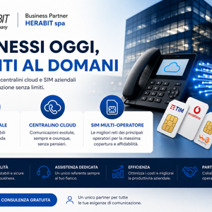 herabit - gruppo hera - fibra - centralini - cloud - backup - sim - operatore - windtre - tim - vodafone - assistenza - vendita - servizi