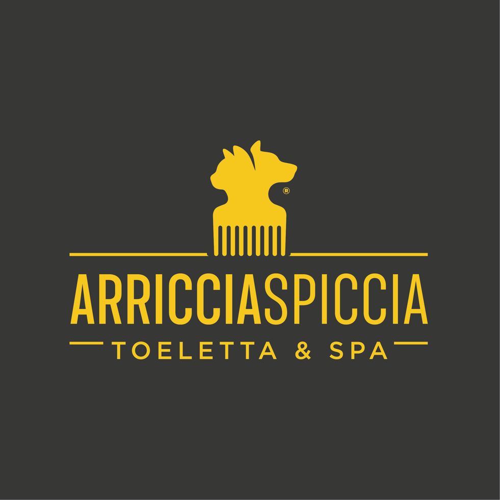 logo design arricciaspiccia-04 logo design arricciaspiccia-04