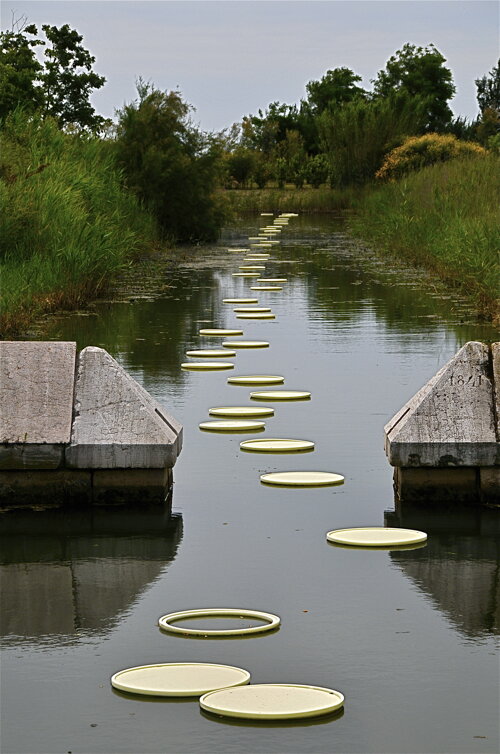 tepfer honorine ou de quelque pièce d'eau france.jpeg