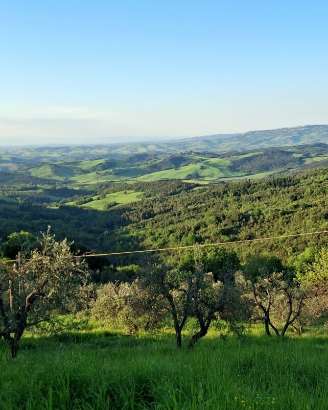 agriturismosanteurosia.jpeg