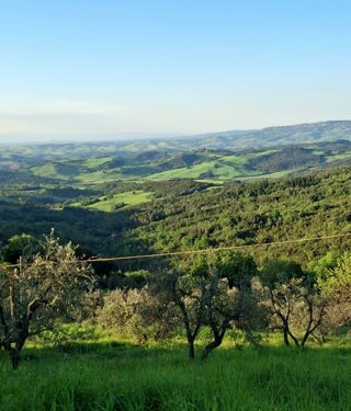 agriturismosanteurosia.jpeg agriturismosanteurosia.jpeg