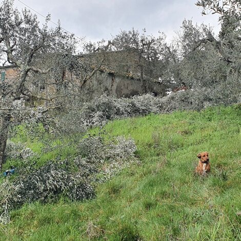 agriturismosanteurosia.jpeg