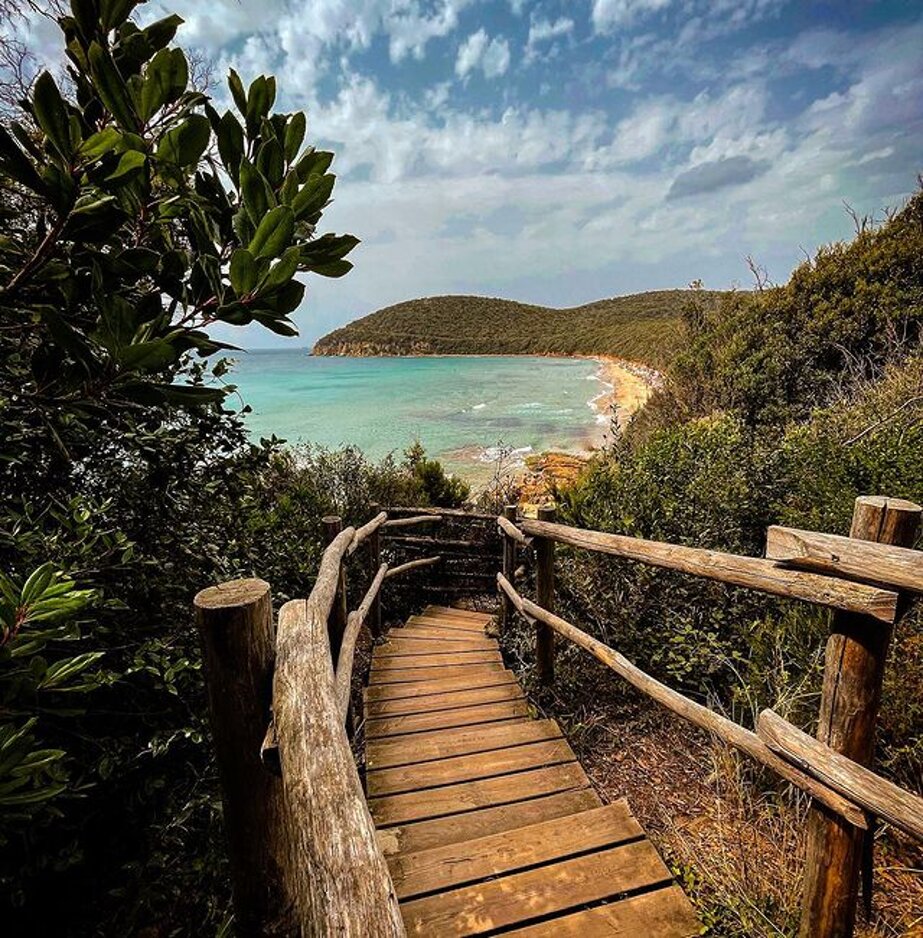 cala violina.jpeg