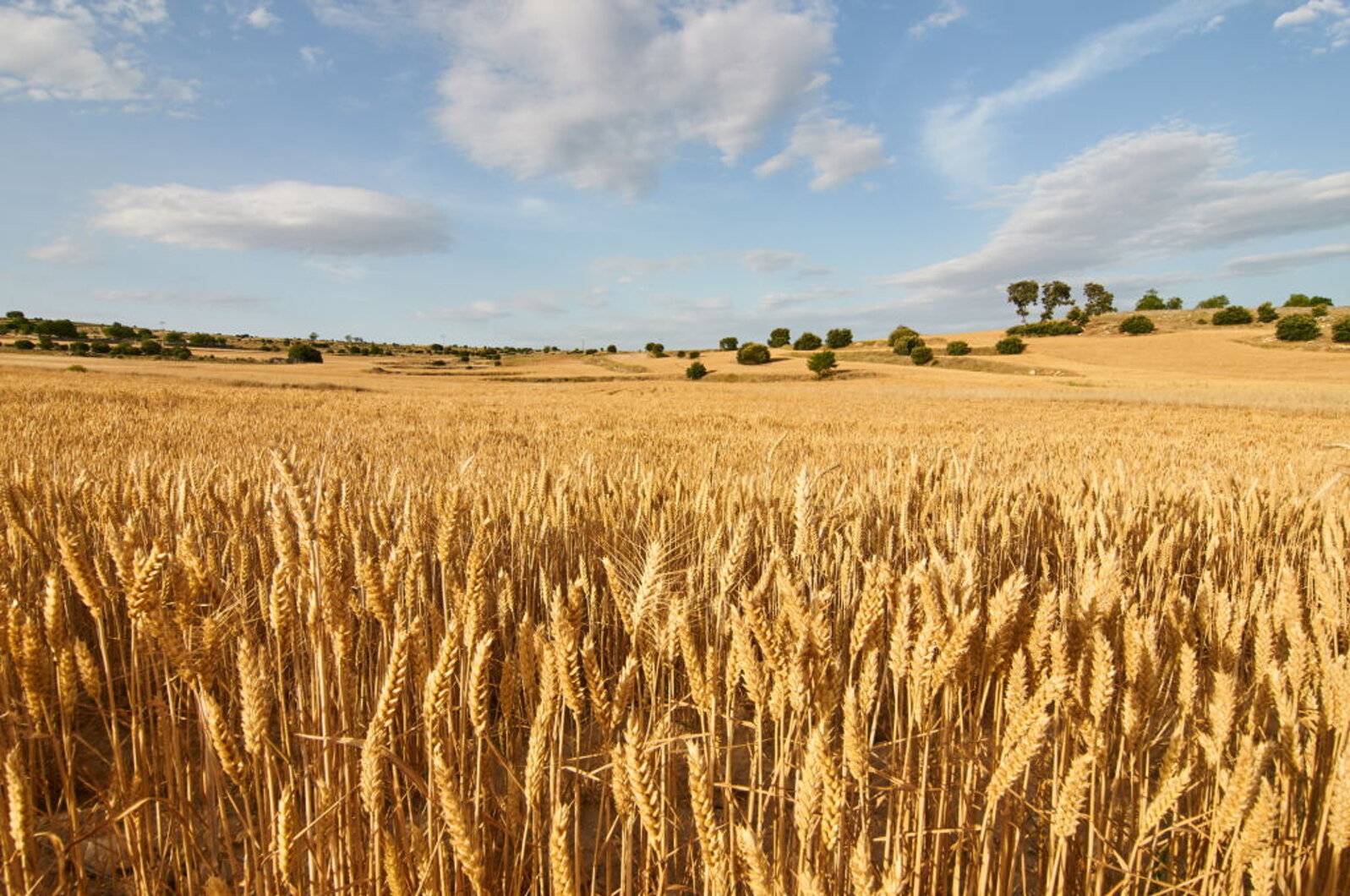 istockphoto-874147316-1024x1024.jpeg istockphoto-874147316-1024x1024.jpeg