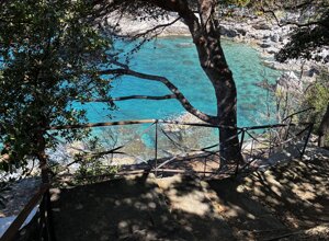 img_9462.jpeg