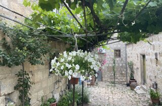 img_3427.jpeg