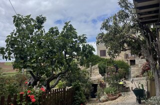 img_3192.jpeg