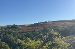 img_3379.jpeg