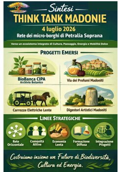 sintesi think tank 4 luglio.jpeg