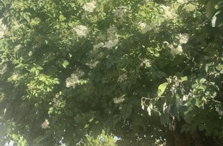 img_3191.jpeg