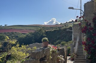img_3195.jpeg