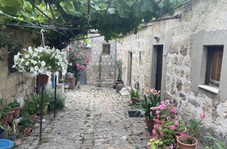 img_3378.jpeg