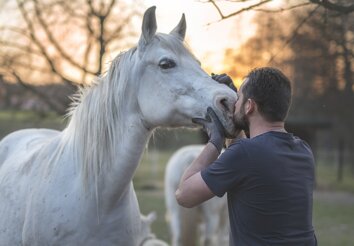 escursioni a cavallo san gimignano