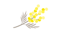 le mimose logo_01 solo ramo le mimose logo_01 solo ramo