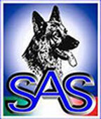 saslogo.jpeg