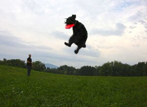 mrduilio1.jpeg