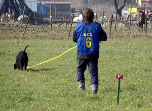 pista_cs_-2012_2.jpeg
