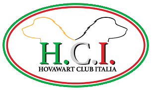 hci
