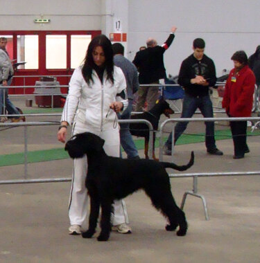 dsc01470.jpeg