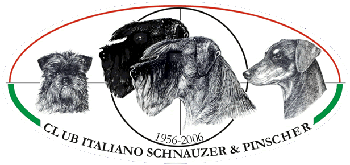 logocispmedio
