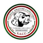 sacc.jpeg