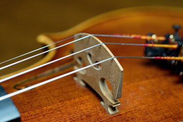 pilotbrent-bowed-stringed-instrument-3130616.jpeg
