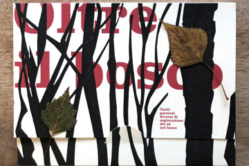 oltre_il_bosco_02