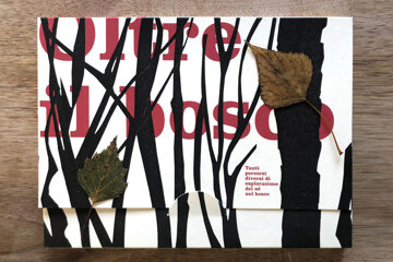oltre_il_bosco_02