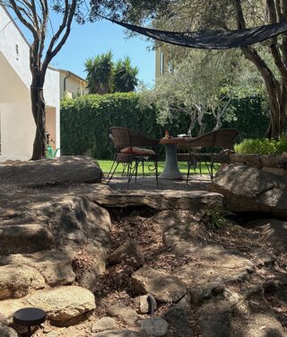 img_1775.jpeg img_1775.jpeg