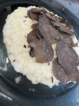 tartufo.jpeg