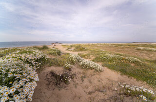 adobestock_91503509_preview.jpeg