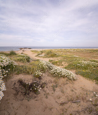 adobestock_89519039_preview.jpeg adobestock_89519039_preview.jpeg