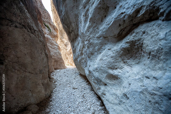 adobestock_316373729_preview.jpeg adobestock_316373729_preview.jpeg