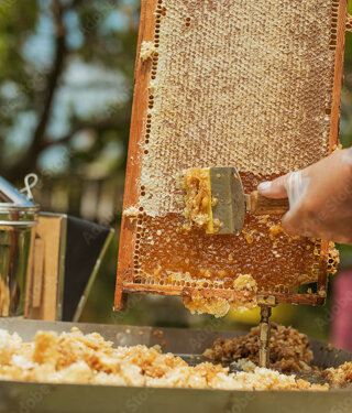 adobestock_1903610279_preview.jpeg adobestock_1903610279_preview.jpeg