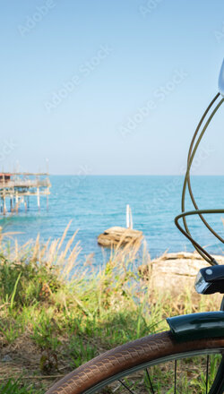 adobestock_655967186_preview adobestock_655967186_preview