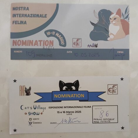 attestati.jpeg