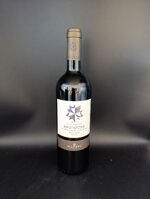 vino-rosso-belguardo-bronzone-2022