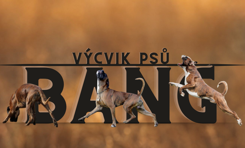 návrh bez názvu