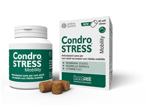 condrostress-mobility