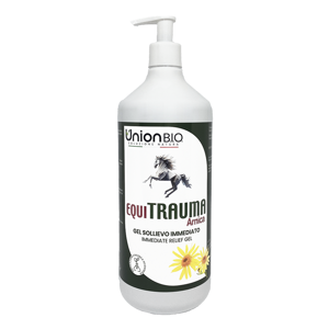 equitrauma