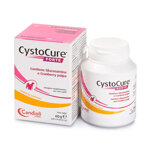 cystocure-forte-compresse
