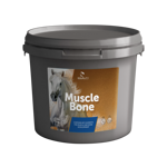 muscle-bone