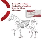 noltrex-vet