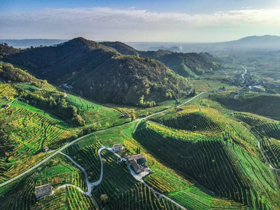 colline-prosecco-unesco-veneto-secrets-22 colline-prosecco-unesco-veneto-secrets-22