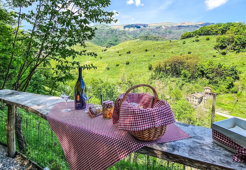 colline-prosecco-unesco-veneto-secrets-27 colline-prosecco-unesco-veneto-secrets-27