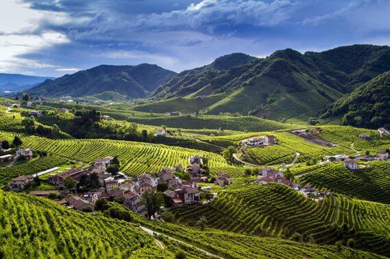 colline_prosecco (3).jpeg